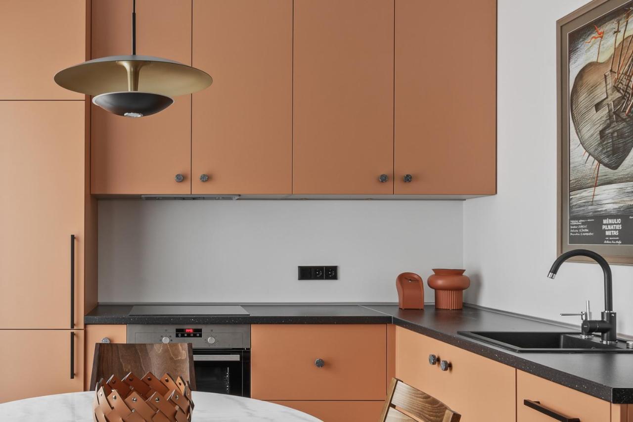 Ivis House - Stylish And Original Apartment In Vilnius Old Town Εξωτερικό φωτογραφία
