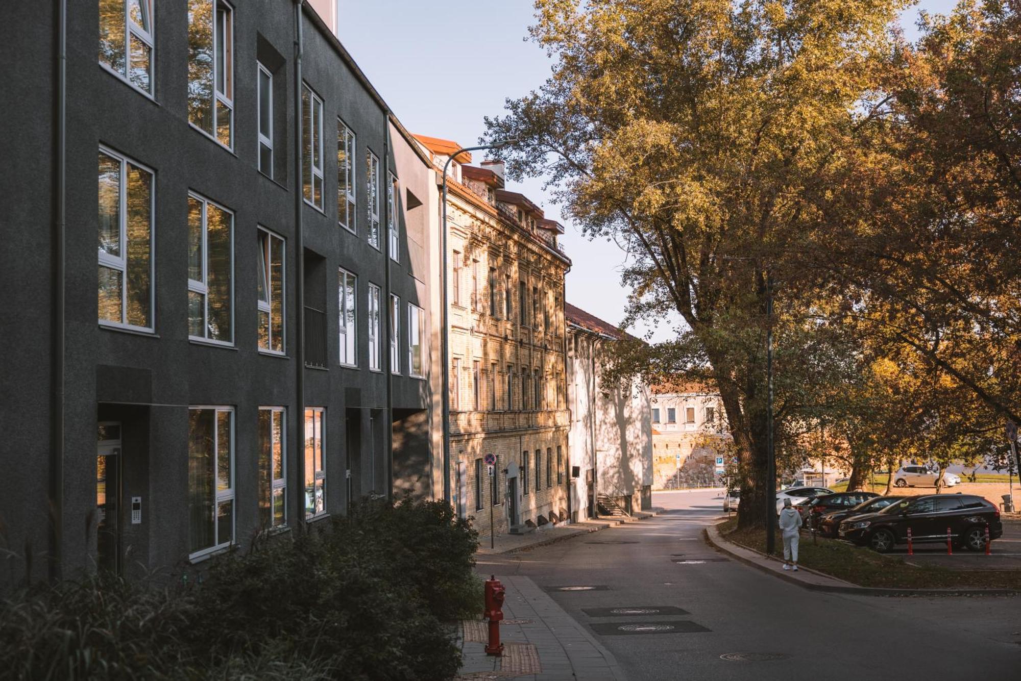 Ivis House - Stylish And Original Apartment In Vilnius Old Town Εξωτερικό φωτογραφία